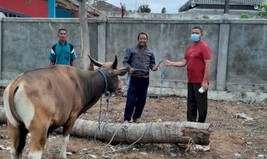 Sambut-Idul-Adha-1443-H,-Polres-Sabu-Raijua-menyumbangkan-Hewan-Kurban-Ke-Masjid-An-Nur-Seba