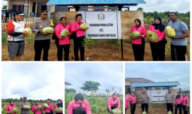 Kapolres-Sarai-bersama-pengurus-Bhayangkari-Memanen-Hasil-Kebun-Di-Pekarangan-Pangan-Lestari-Bhayangkari-Sarai