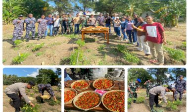 Wakapolres-Sarai-Hadiri-Undangan-TNI-AL-Seba-pada-Giat-Panen-Cabai