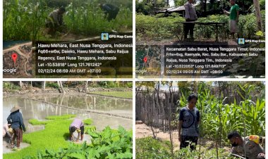 DUKUNG-KETAHANAN-PANGAN-BHABINKAMTIBMAS-POLRES-SABU-RAIJUA-BANTU-WARGA-DESA-BINAAN-DALAM-BIDANG-PERTANIAN 