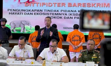 Dittipidter-Bareskrim-Polri-Ungkap-Perdagangan-Ilegal-Gading-Gajah-di-Sukabumi-dan-Jakarta
