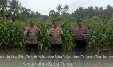 Polres-Sabu-Raijua-Laksanakan-Patroli-dan-Monitoring-Lahan-Panen-Jagung-di-Desa-Matei