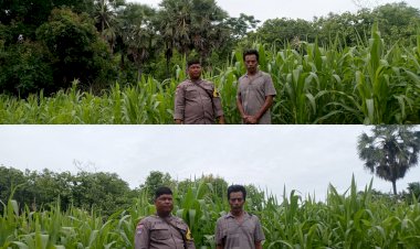 Bhabinkamtibmas-Polsek-Sabu-Barat-Laksanakan-Patroli-Sambang-dan-Monitoring-Program-Ketahanan-Pangan