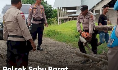 Polsek-Sabu-Barat-Laksanakan-Pembersihan-Pohon-Tumbang-di-Desa-Raemude