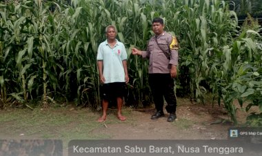 Bhabinkamtibmas-Sabu-Barat-Laksanakan-Sambang-dan-Monitoring-Jagung-Cpcl-Polda
