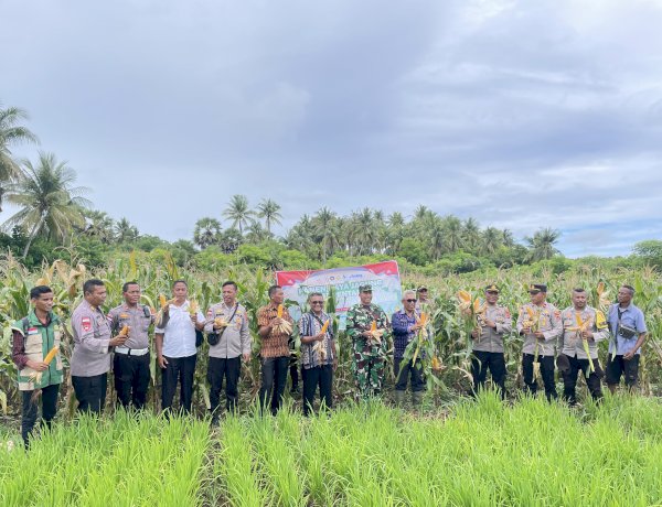 Polres Sabu Raijua Ikuti Vicon Panen Raya Jagung Serentak Kuartal IV 2025 Dukung Sewasembada Pangan