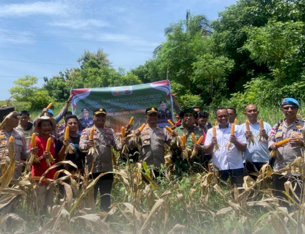 Polres Sabu Raijua Laksanakan Panen Jagung di Desa Kujiratu dan Desa Keliha