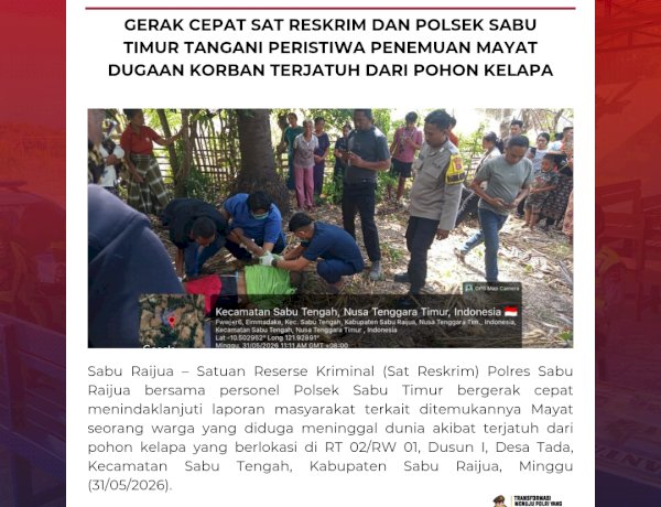 Gerak Cepat Sat Reskrim dan Polsek Sabu Timur Tangani Peristiwa penemuan Mayat dugaan Korban terjatuh dari Pohon Kelapa