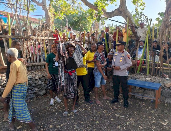 Pelestarian Budaya dan Kamtibmas Berjalan Seiring, Polsek Sabu Timur Amankan Adat Moa Dab'ba