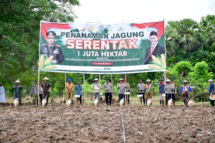 Swasembada Pangan 2025: Kapolda NTT Pimpin Penanaman Jagung Serentak di TTU