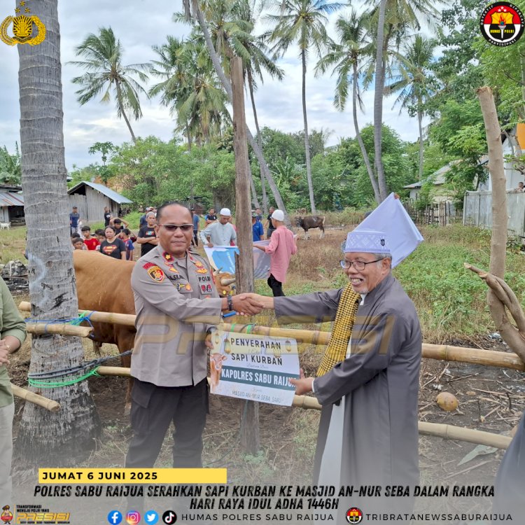 Polres Sabu Raijua Serahkan Sapi Kurban ke Masjid An-Nur Seba dalam Rangka Hari Raya Idul Adha 1446 H