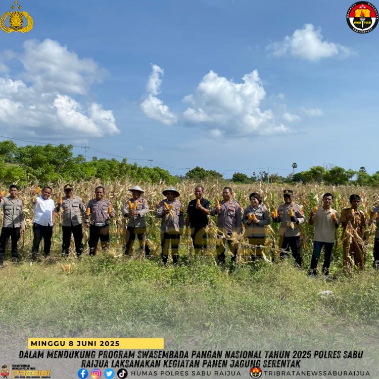 Dalam rangka mendukung program swasembada pangan nasional tahun 2025 Polres Sabu Raijua Laksanakan Kegiatan Panen Jagung Serentak 