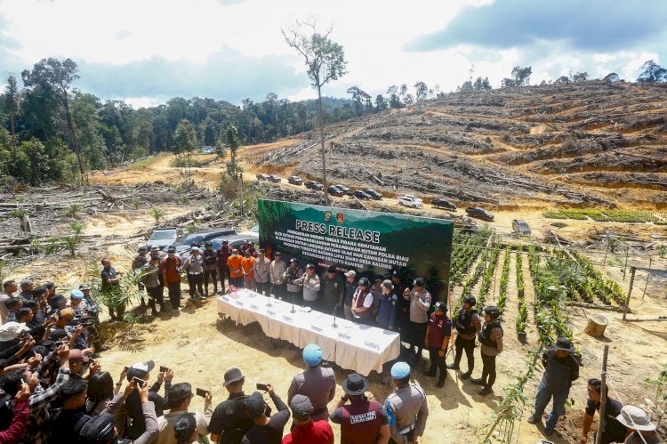 Tindak Tegas Perusakan Hutan, Polda Riau Tegaskan Komitmen Green Policing