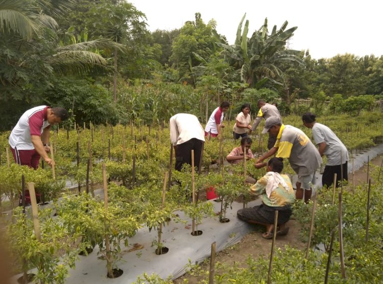 SEMANGAT PENGABDIAN AIPDA HIRONIMUS T.WERANG KEPADA MASYARAKAT DI TENGAH KETERBATASAN FISIKNYA