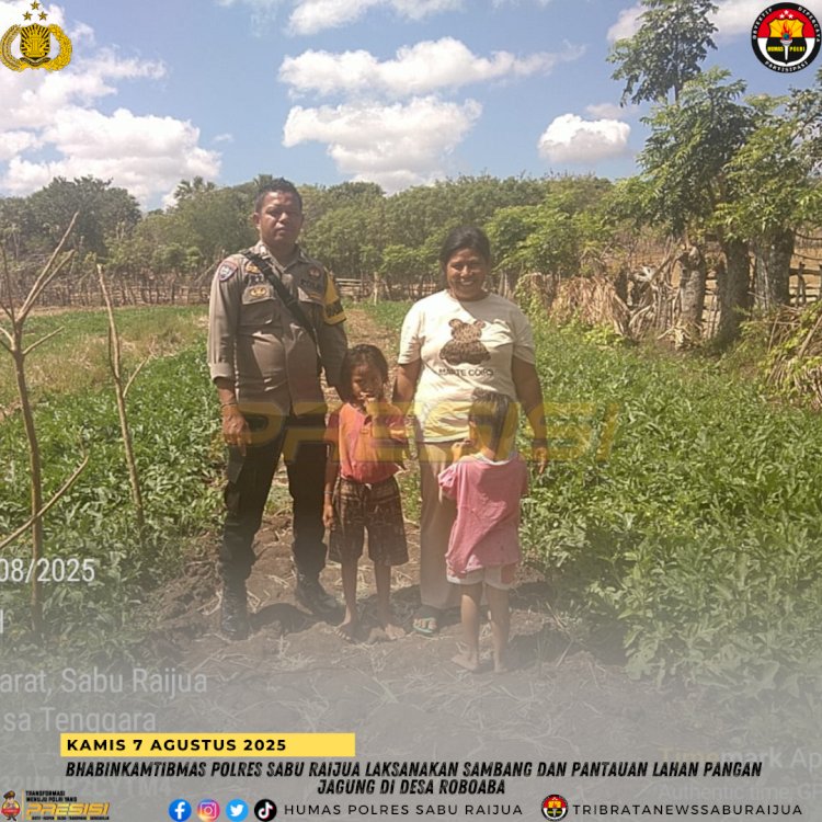 Bhabinkamtibmas Polres Sabu Raijua Laksanakan Sambang dan Pantauan Lahan Pangan Jagung di Desa Roboaba