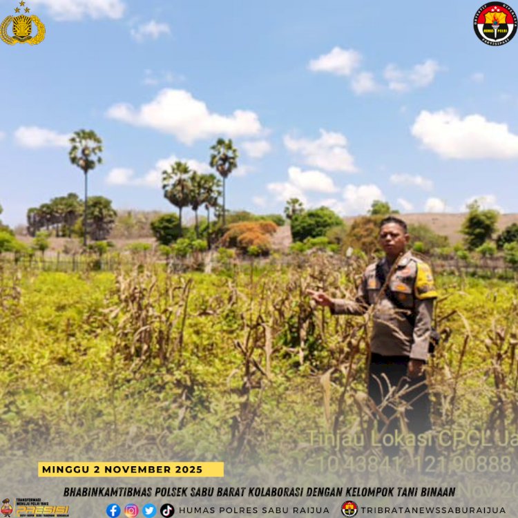 Bhabinkamtibmas Polsek Sabu Barat Kolaborasi dengan Kelompok Tani Binaan