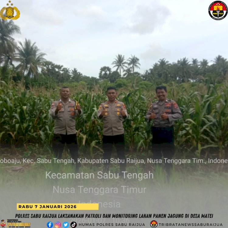 Polres Sabu Raijua Laksanakan Patroli dan Monitoring Lahan Panen Jagung di Desa Matei