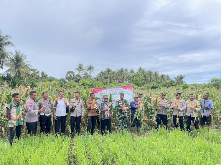 Polres Sabu Raijua Ikuti Vicon Panen Raya Jagung Serentak Kuartal IV 2025 Dukung Sewasembada Pangan
