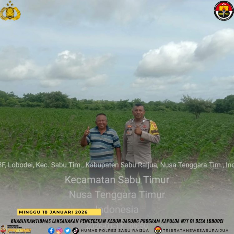 Bhabinkamtibmas Laksanakan Pengecekan Kebun Jagung Program Kapolda NTT di Desa Lobodei