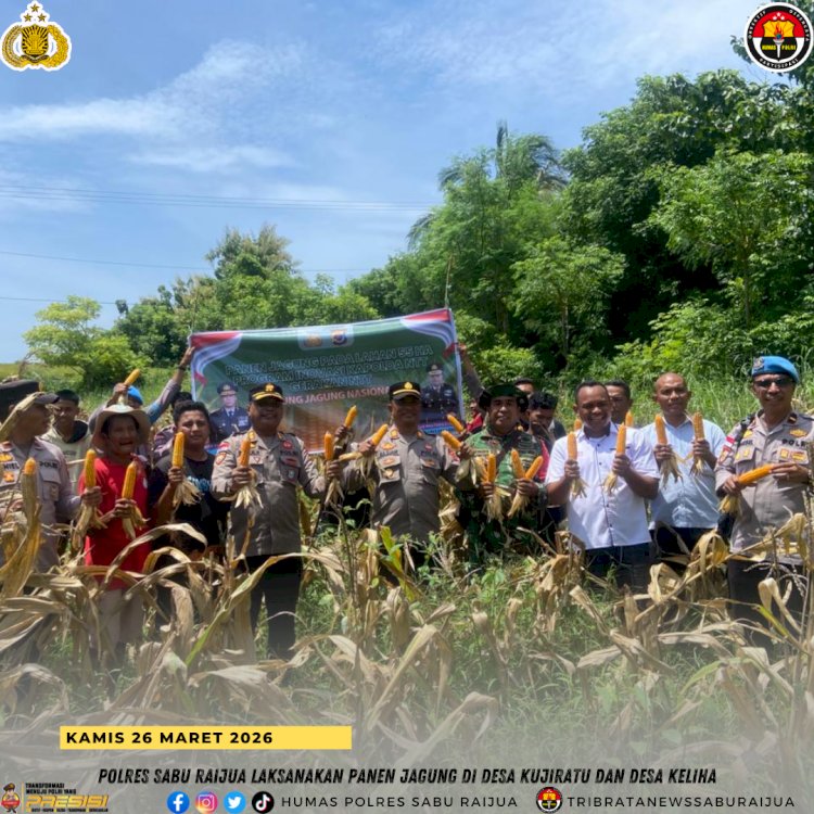 Polres Sabu Raijua Laksanakan Panen Jagung di Desa Kujiratu dan Desa Keliha